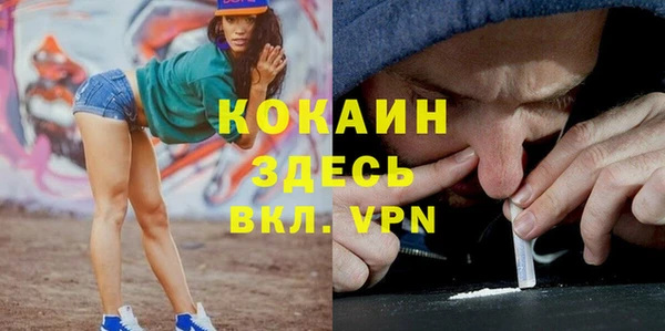 крисы Алексин