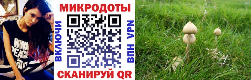 Галлюциногенные грибы MAGIC MUSHROOMS Томск